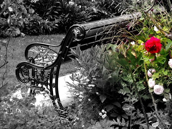 A wrought iron bench in a park in New Zealand