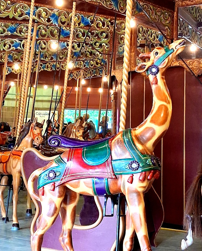 one of 2 giraffes