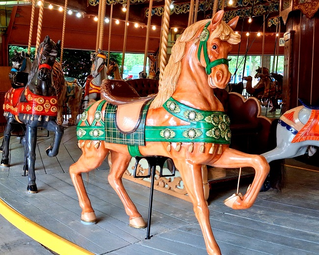 green halter and harness on ginger horse