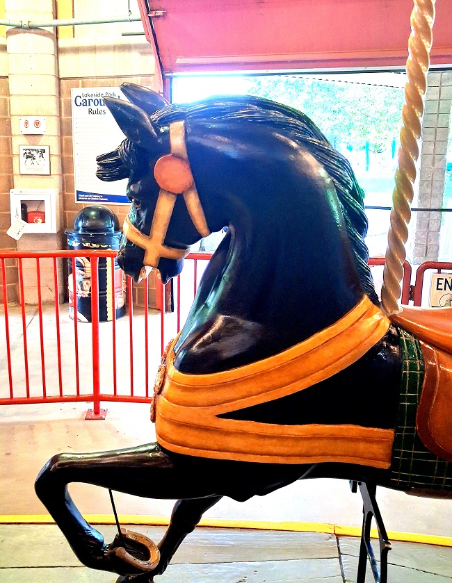black horse with orange halter