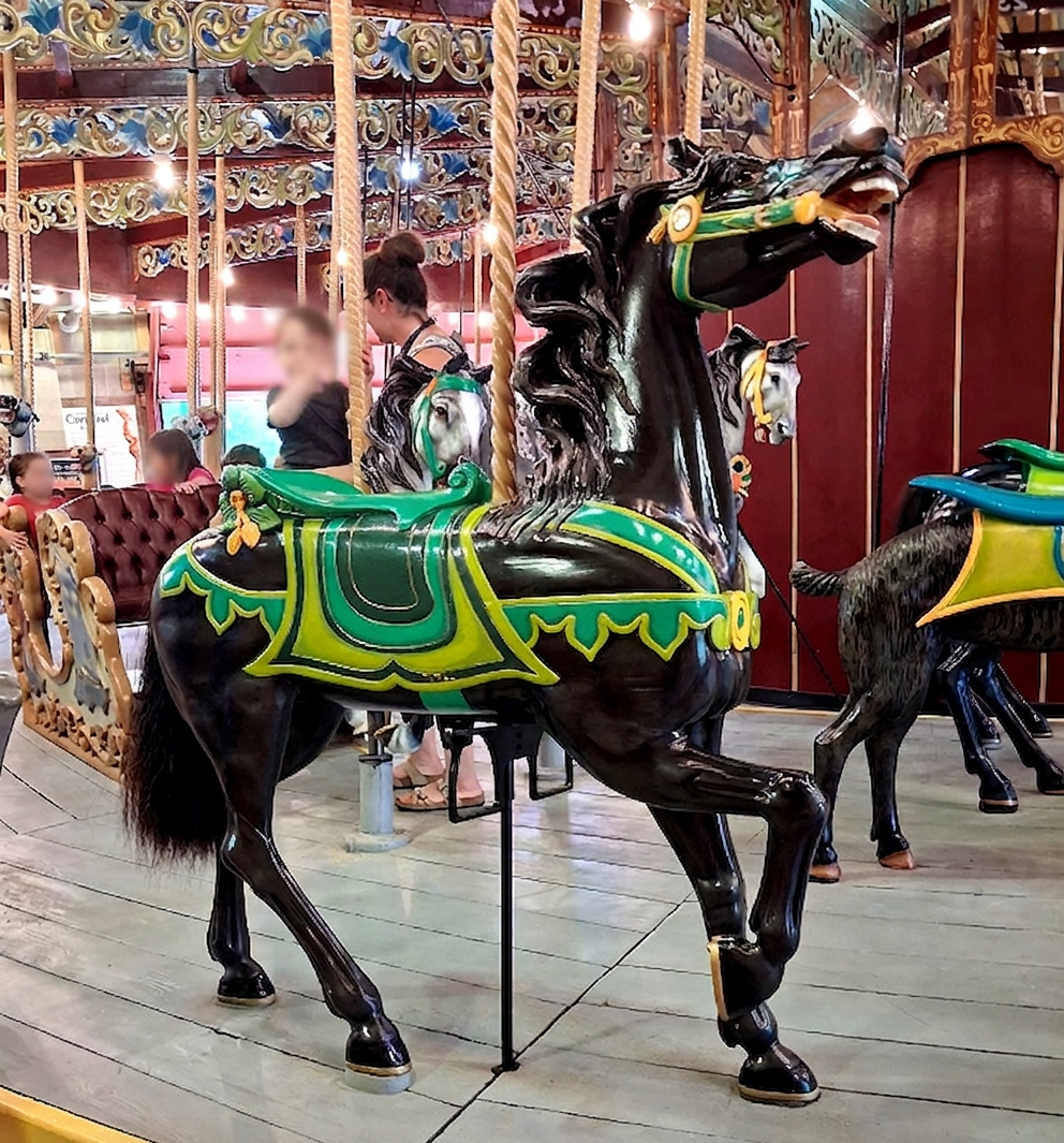 rearing A black horse with green halter rearing
